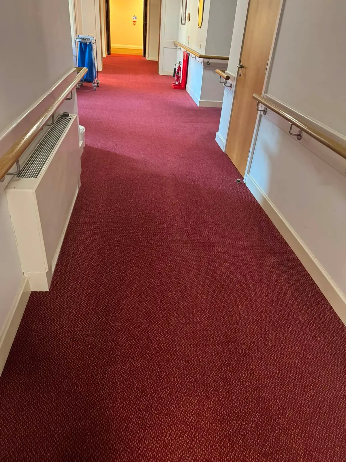Cleaned corridor carpet in a care home