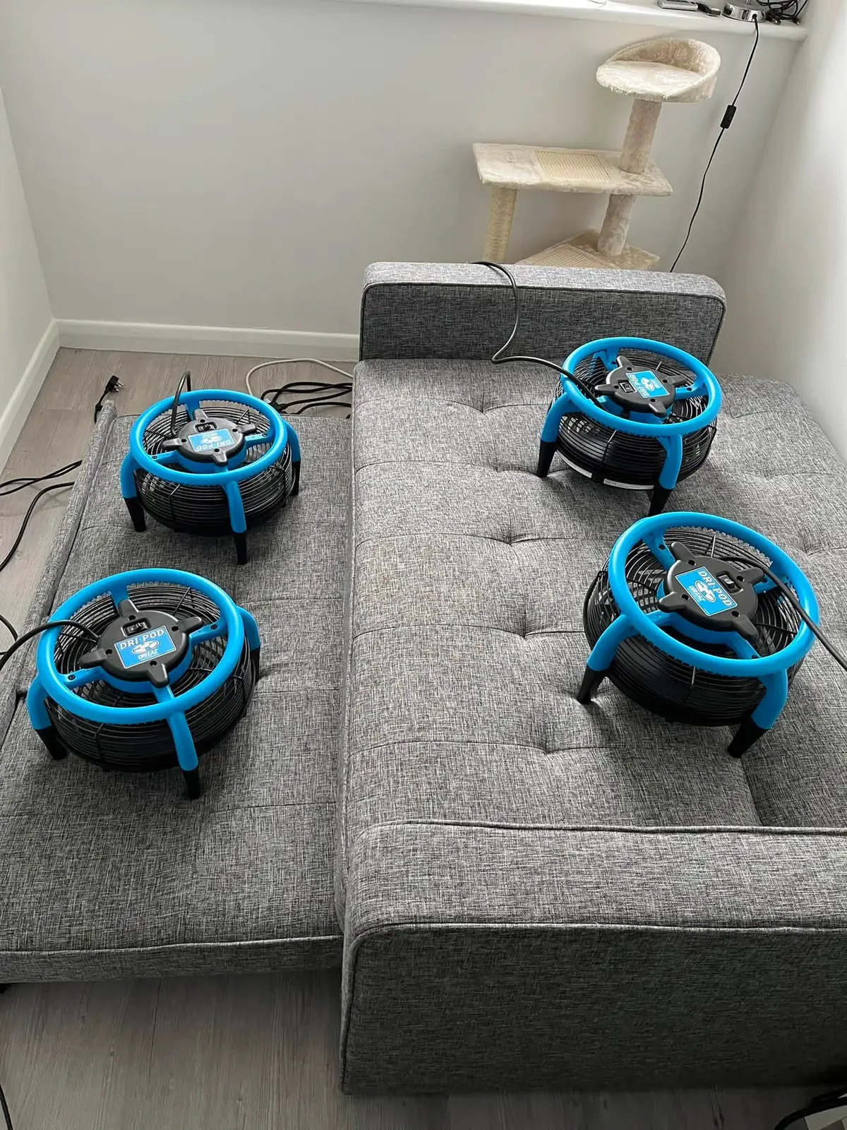 Sofa cleaning with drying equipment in place